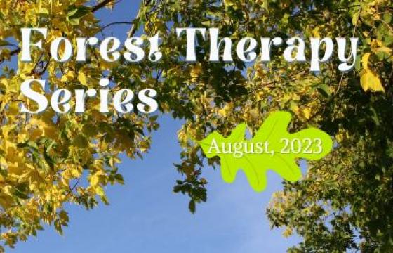 Website Aug Forest Therapy Series