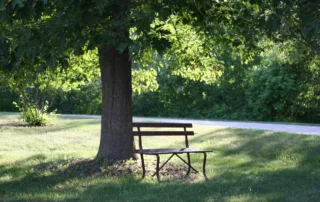 Bench