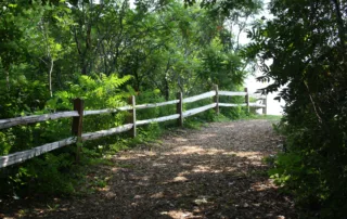 Siena Retreat Center Walking Path