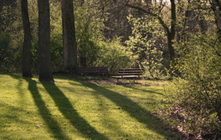 Benches