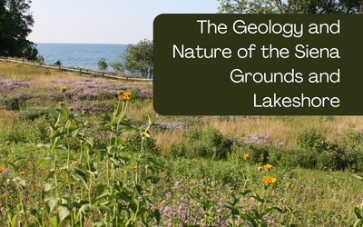 Geology And Nature Of The Siena Grounds And Lakeshore