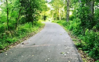 Paved Walking Path
