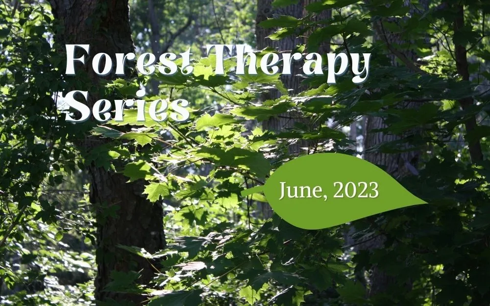 June Forest Therapy Series