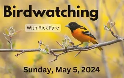 Birdwatching Website