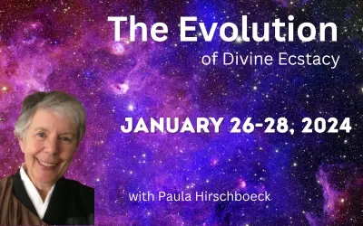 Evolution Website