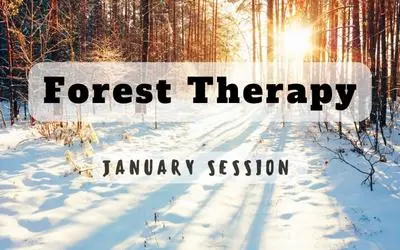 Foresttherapyjanuary Website