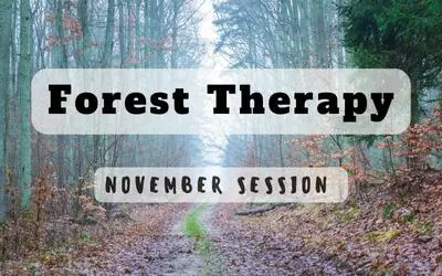 Foresttherapynovember Website