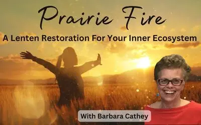 Prairiefire Website