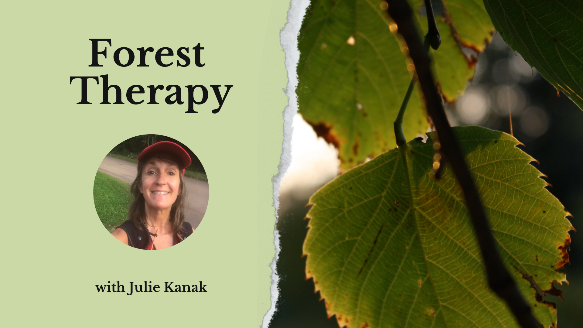 informative graphic about a forest therapy retreat in racine, wisconsin