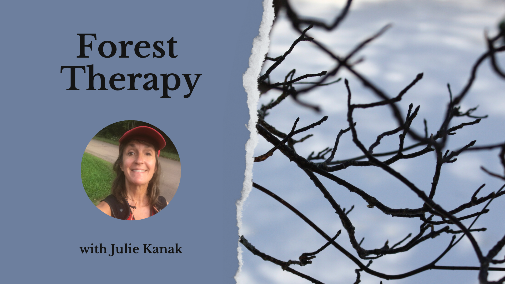 informative graphic about a forest therapy retreat in racine, wisconsin