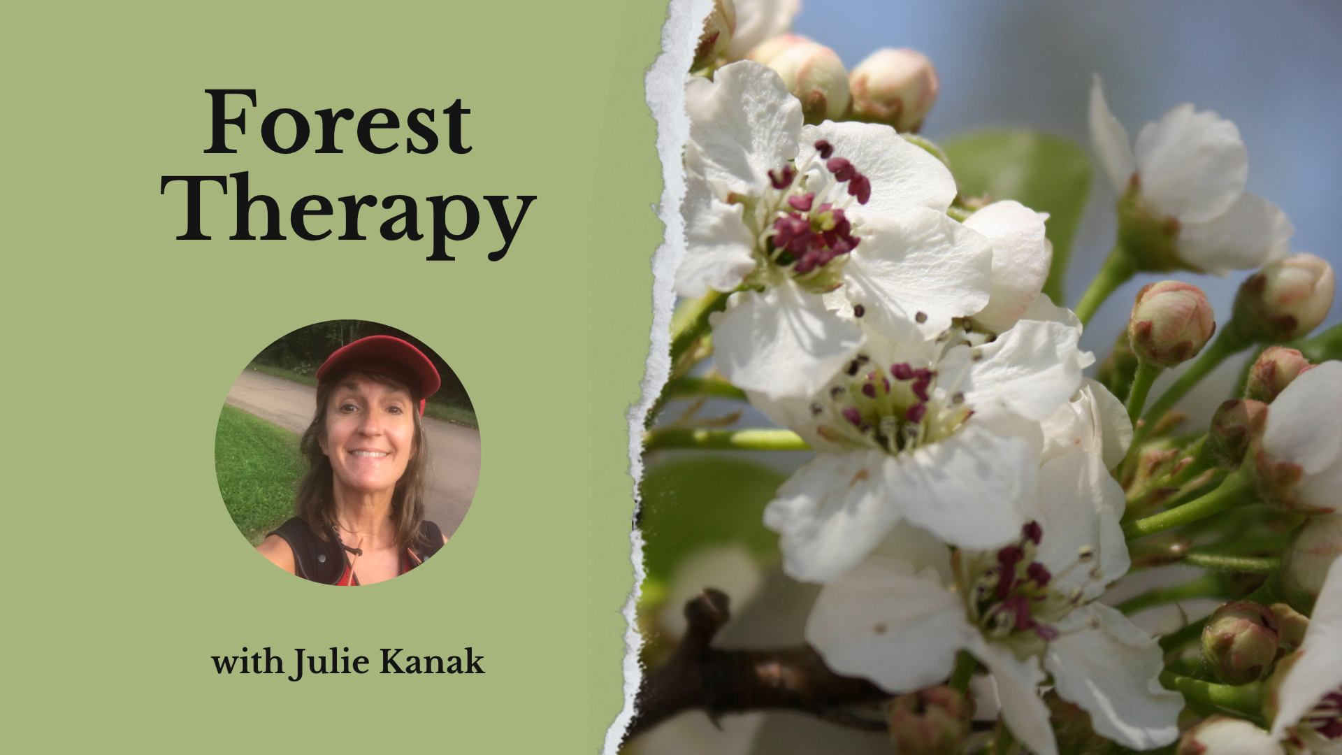 informative graphic about a forest therapy retreat in racine, wisconsin