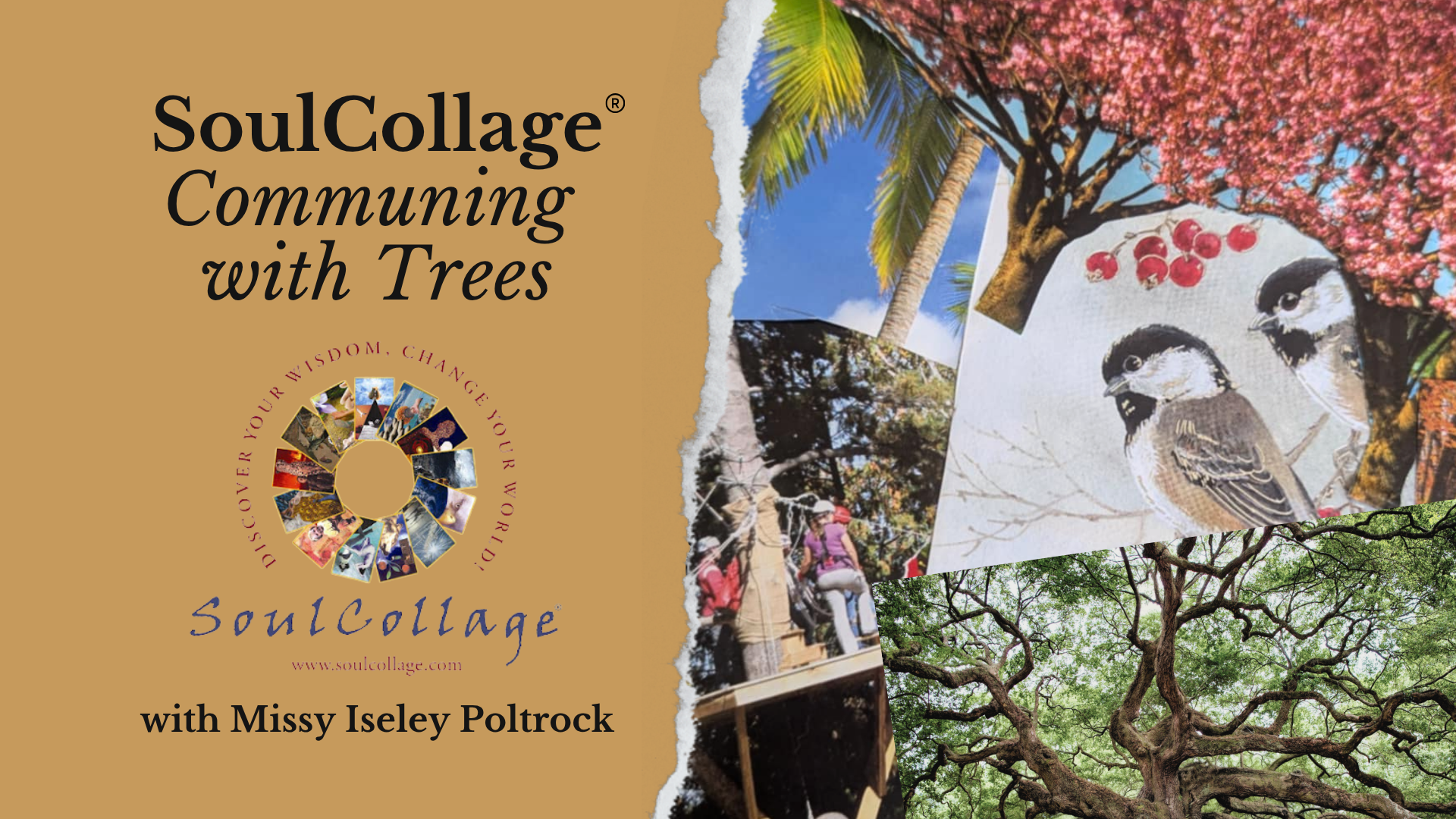 decorative graphic for this soulcollage® retreat in wisconsin