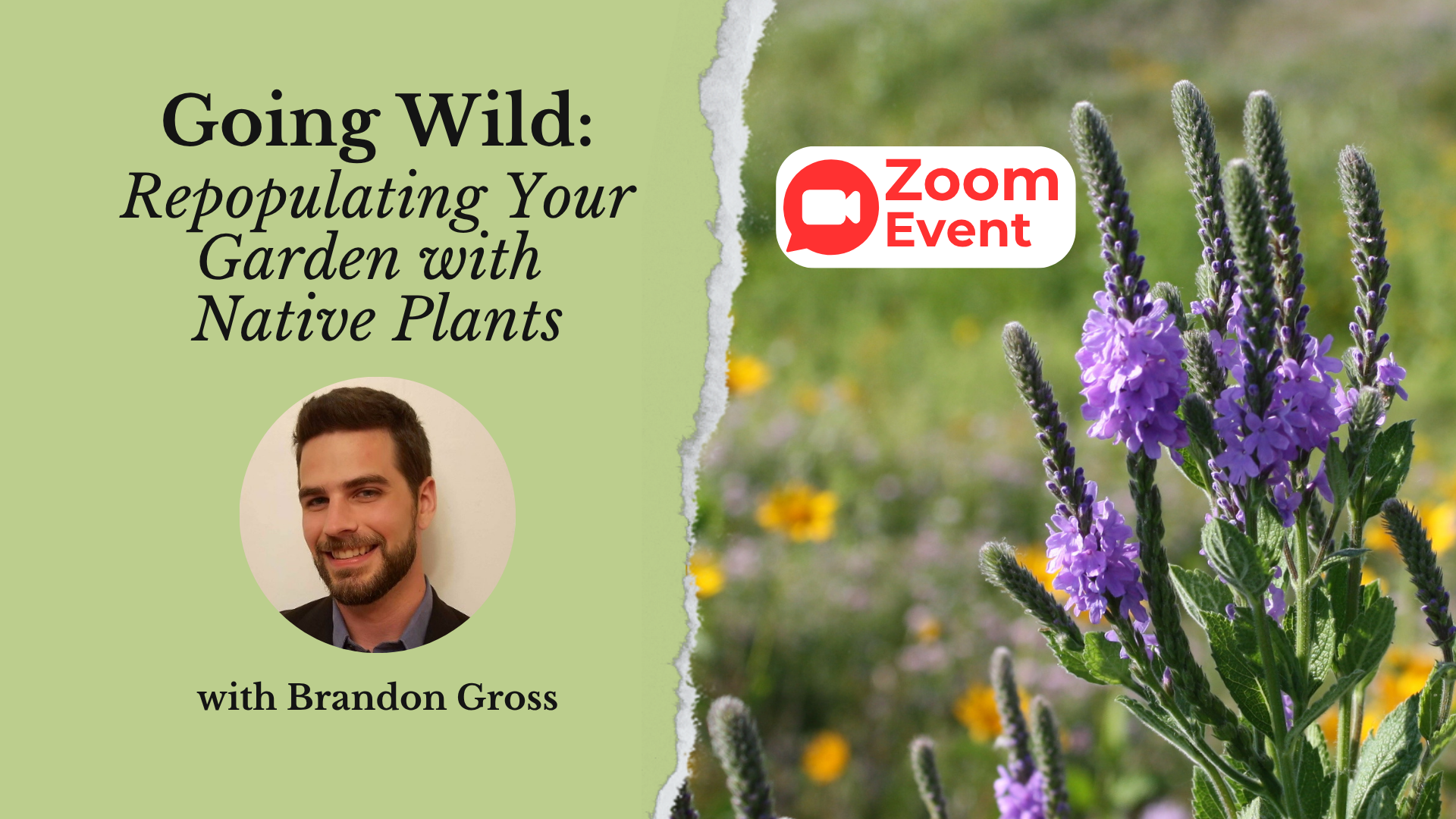 decorative graphic for a zoom retreat on native plants