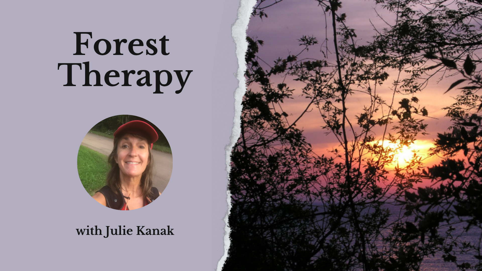 informative graphic about a forest therapy retreat in racine, wisconsin