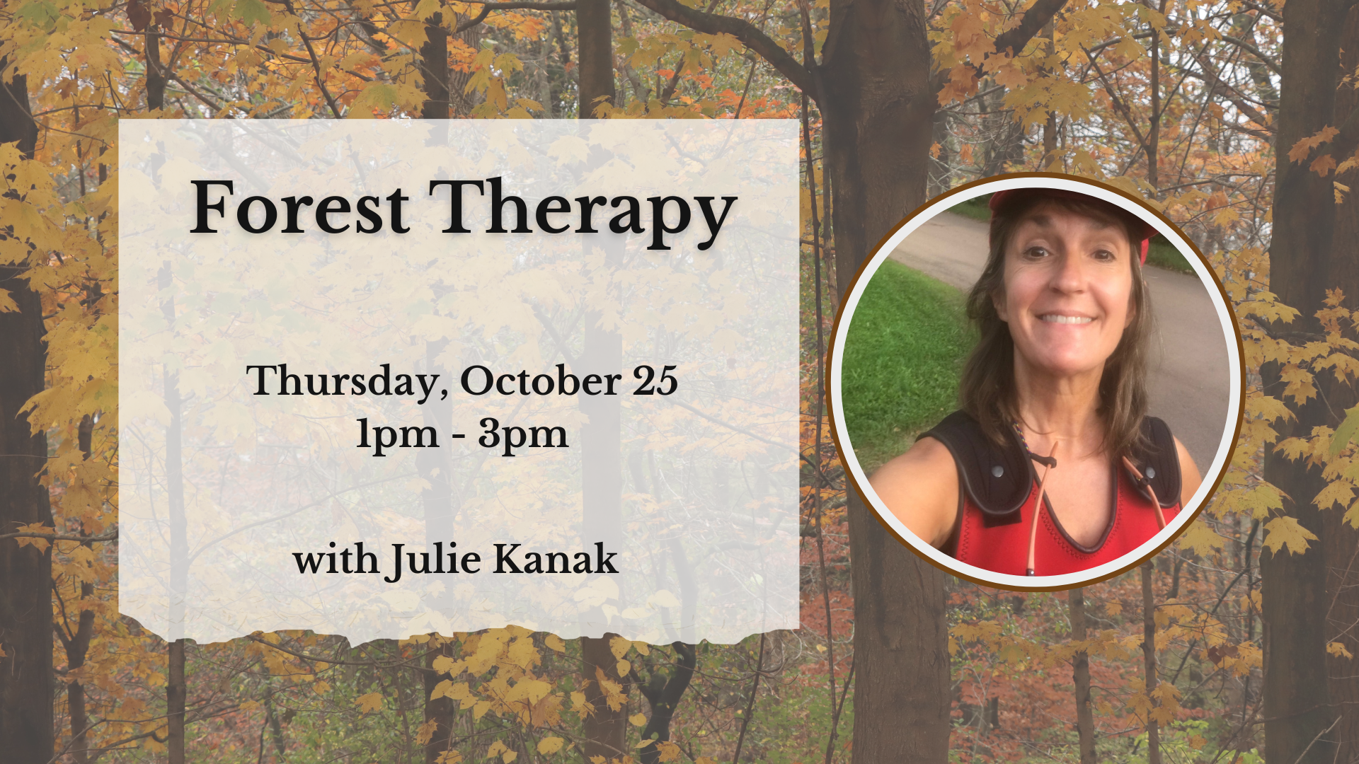 Forest Therapy and Forest Bathing in Racine, Wisconsin