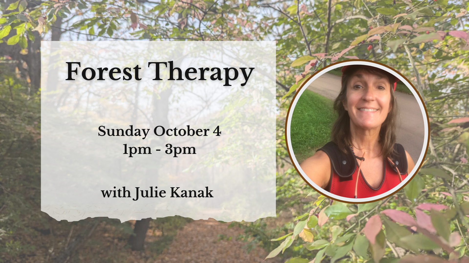 Forest Therapy and Forest Bathing retreat