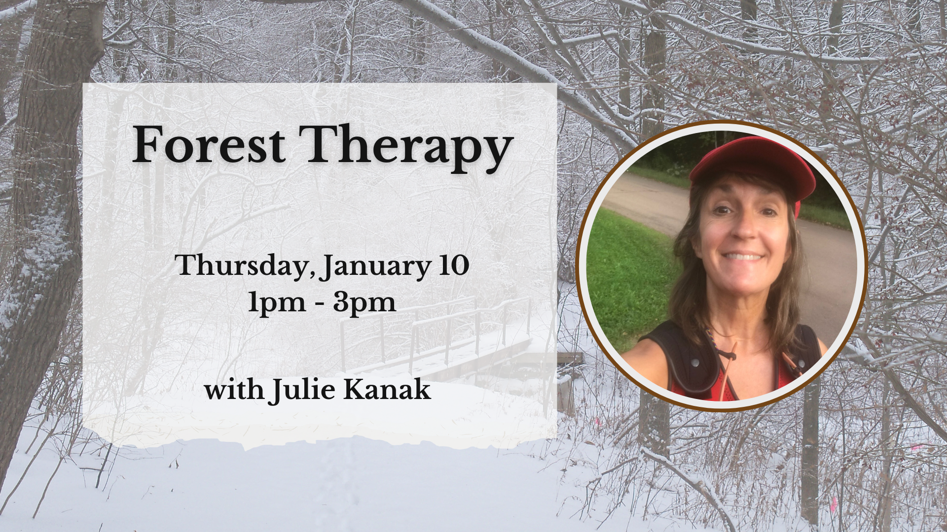 Forest Therapy January (2)